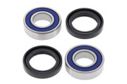 Wheel Bearing and Seal Kit