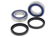 Wheel Bearing and Seal Kit