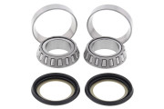 Steering Bearing Kit
