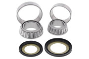 Steering Bearing Kit 329696P FZS