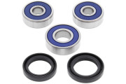 Wheel Bearing Kit Rear Honda CBF125 (EURO) 09-13 CBR125 04-