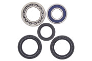 Wheel Bearing and Seal Kit ear Yamaha YFM250 Beartracker 00-