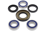 Wheel Bearing and Seal Kit
