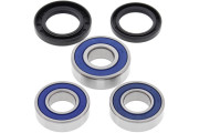 Wheel Bearing and Seal Kit Suzuki DRZ400E 00-03
