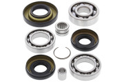 Differential Bearing and Seal