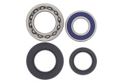 Wheel Bearing and Seal Kit