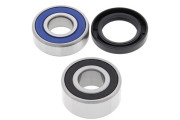 Wheel Bearing and Seal Kit