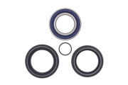 Wheel Bearing Kit Front Honda TRX500FA 05-14 TRX500FE 05-13