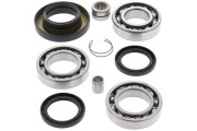 Differential Bearing and Seal