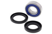 LOWER STEERING BEARING KIT TRX420 15-22