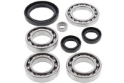 Differential Bearing and Seal