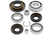 Differential Bearing and Seal