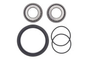 Wheel Bearing and Seal Kit