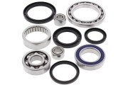 Differential Bearing and Seal