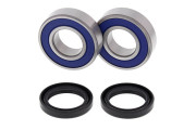 Wheel Bearing and Seal Kit Rear Cub Cadet 411 4x2 Utility Ve