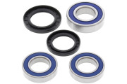Wheel Bearing Kit Rear Yamaha TDM900 (Euro) 02-06 XJR1300 (