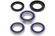 Wheel Bearing and Seal Kit Rear Busa 99-07