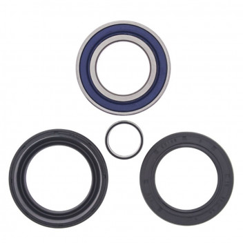 Wheel Bearing and Seal Kit