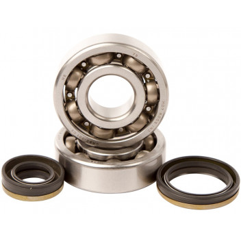 MAIN BEARINGS AND SEAL KIT RM125 99-07