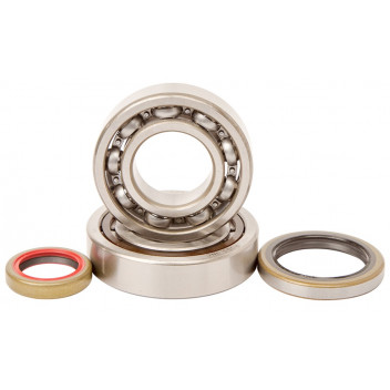 MAIN BEARING AND SEAL KIT HOT RODS KTM 250EXC04-11