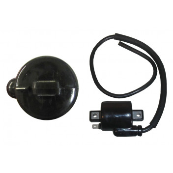 Ignition Coil 6v/12v 1 spade