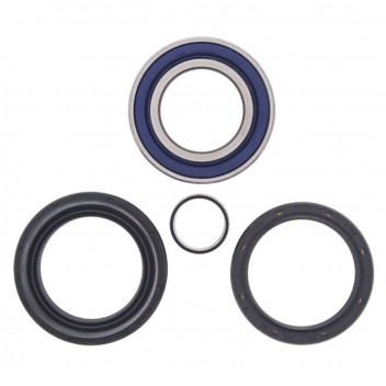 Wheel Bearing and Seal Kit
