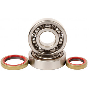 MAIN BEARING+ SEALS SX125 07-19