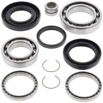 Differential Bearing and Seal