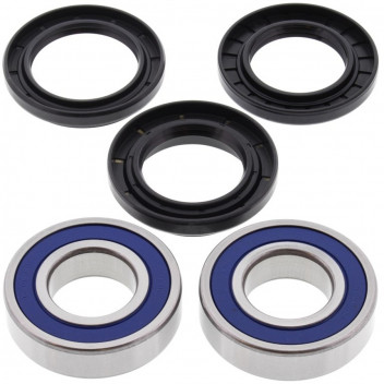 Wheel Bearing and Seal Kit
