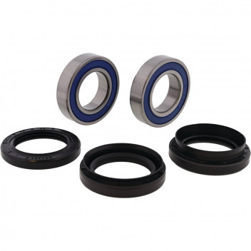 Wheel Bearing and Seal Kit