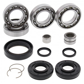 Differential Bearing and Seal