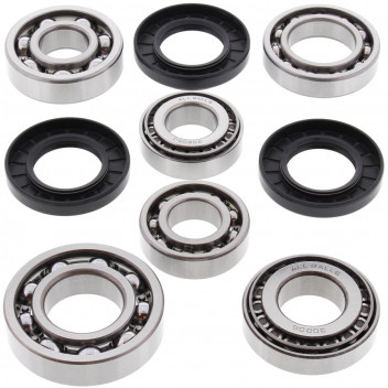Differential Bearing and Seal