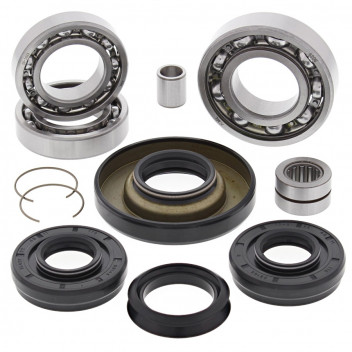 Differential Bearing and Seal