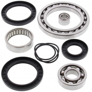 Differential Bearing and Seal