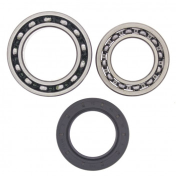 Wheel Bearing and Seal Kit