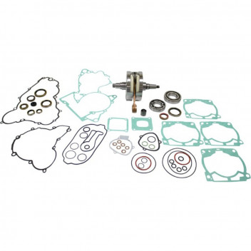 BOTTOM END REBUILD KIT 300 TPI 20-21 CRANK GASKET KIT/BEARIN