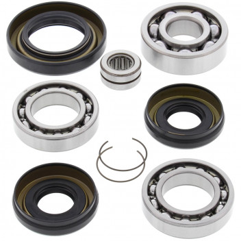 Differential Bearing and Seal