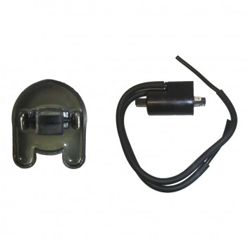 Hi Level Ignition Coil 12v CDI Twin Lead 2 Spade 90mm 713774