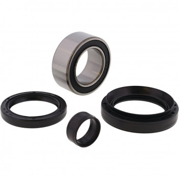 Wheel Bearing and Seal Kit