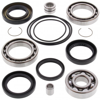 Differential Bearing and Seal