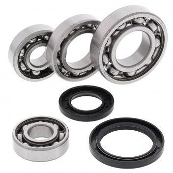 Differential Bearing and Seal