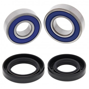 Wheel Bearing and Seal Kit