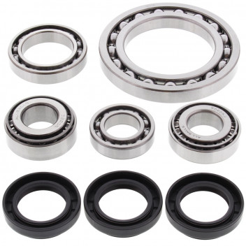 Differential Bearing and Seal