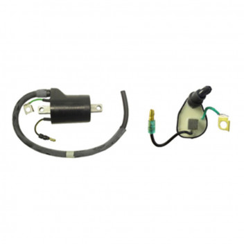 Ignition HT Coil 12v CDI Single Lead 2 Terminals 80mm
