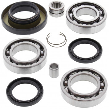 Differential Bearing and Seal