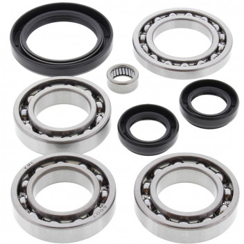 Differential Bearing and Seal