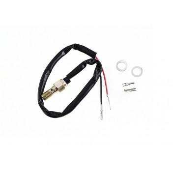 Hydraulic Banjo Bolt & Brake Light Switch 10mm x 1.00mm Sing