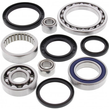 Differential Bearing and Seal