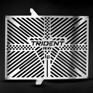 Branded Radiator Guard stainless - Triumph Trident (660) '2